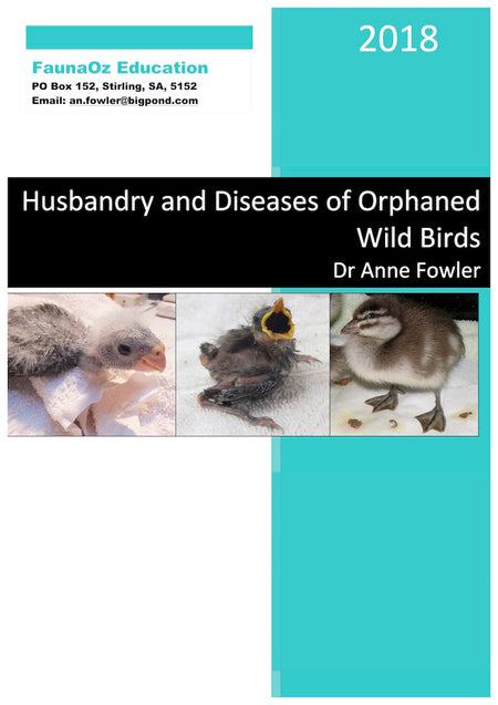 Husbandry & Diseases of Orphaned Wild Birds (3rd Edition, 2021), Dr Anne Fowler